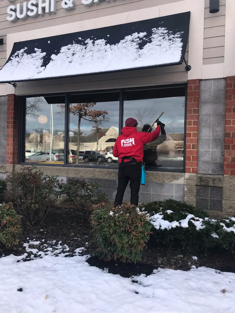 Fish Window Cleaning